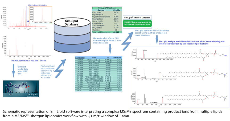 DIA for Shotgun lipidomics workflow