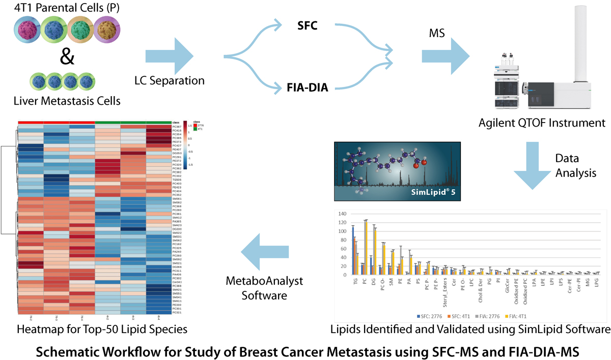 Schematic Workflow for high throughput identification and quantitation of 2-AA labelled glycans from Infliximab