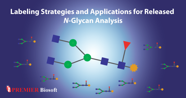 Fluorescently Labeled released N-glycan Analysis