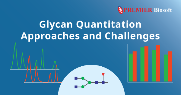 Glycan Quantitation Workflows Supported in SimGlycan Software