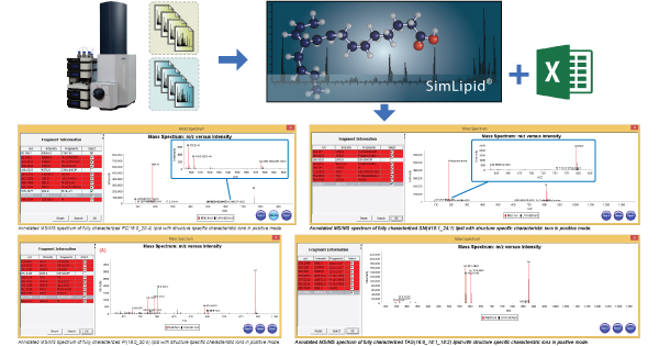 Identification of glycerophospholipids and glycerolipids