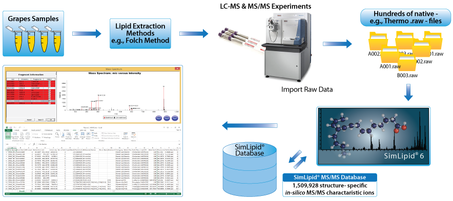 Schematic representation of LC-MS based large-scale lipidomics analysis using SimLipid software