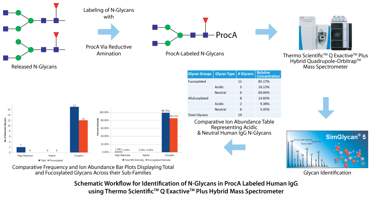 Schematic Workflow for Identification of N-Glycans in ProcA Labeled Human IgG
using Thermo ScientificTM Q ExactiveTM Plus Hybrid Mass Spectrometer