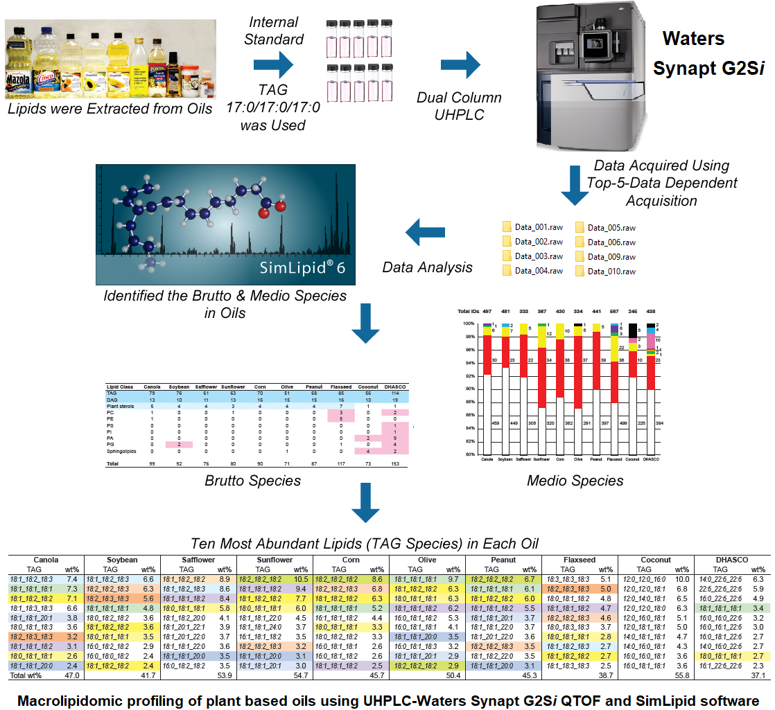 Untargeted Macrolipidomic Workflow