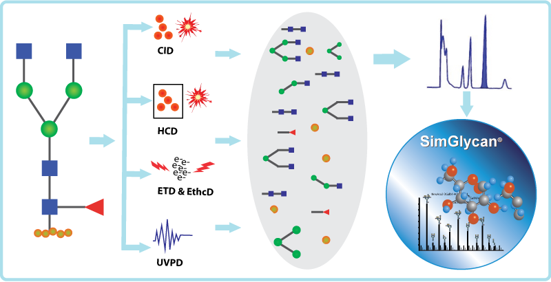 Various types of fragmentation techniques supported in SimGlycan software.