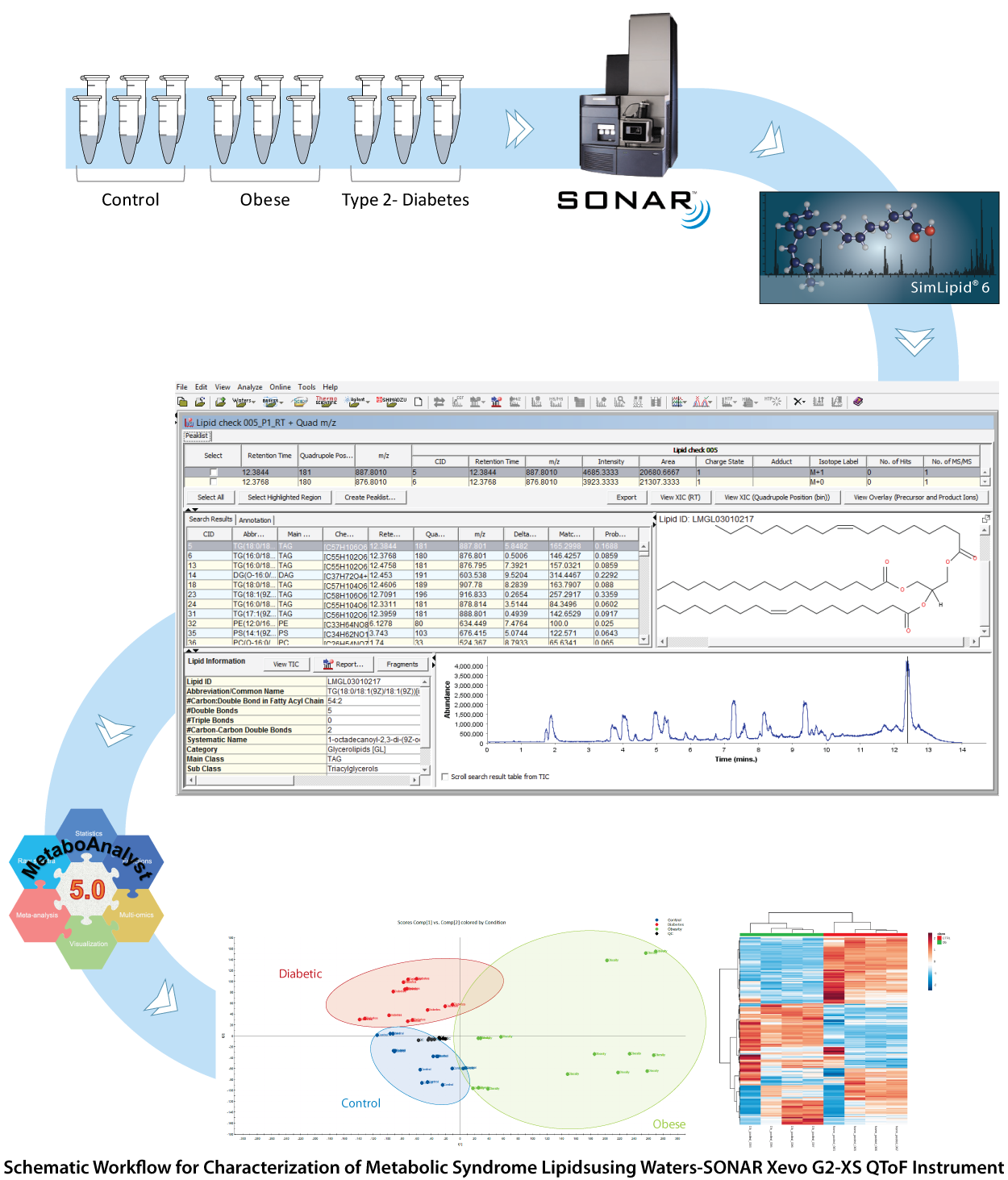 Schematic Workflow for characterization of Metabolic Syndrome lipids using Waters-SONAR Xevo G2-XS QToF instrument