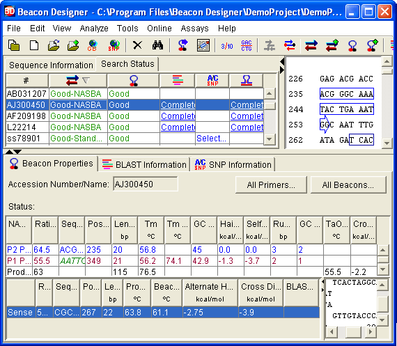 Beacon Designer software designs molecular beacons for NASBA assays. The software also evaluates pre-designed primers and probres for NASBA assays.