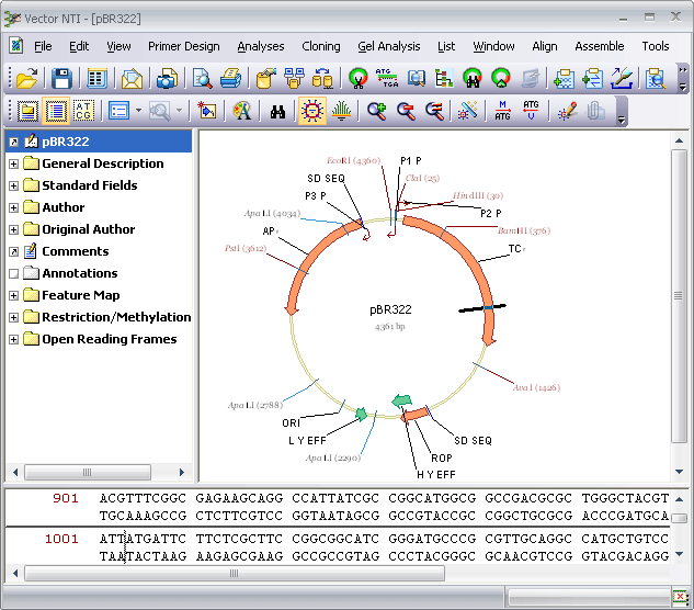 Vector NTI file support