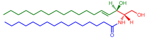 Sphingolipids - Structure of N-palmitoyl-ceramide