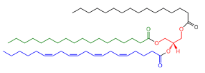 Glycerolipids - Structure of 1-stearoyl-2-arachidonoyl-3-palmitoyl-triacylglycerol