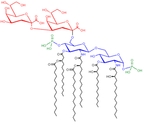 Saccharolipids - Structure of Kdo2-Lipid A