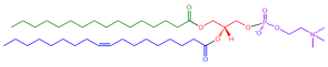 Glycerophospholipids - Structure of Phosphatidylcholine