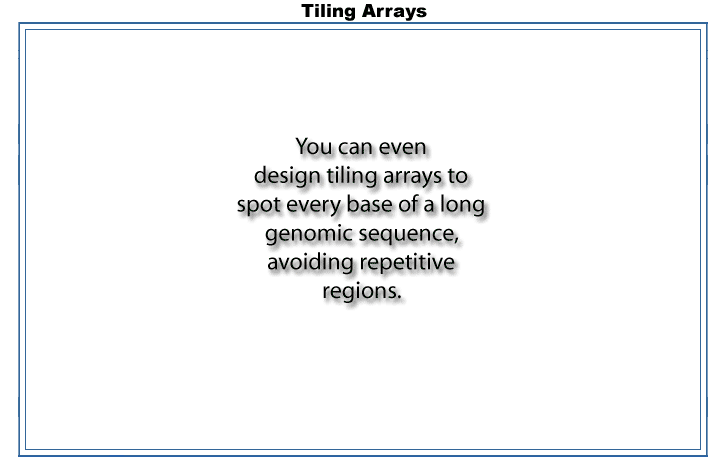 Array Designer