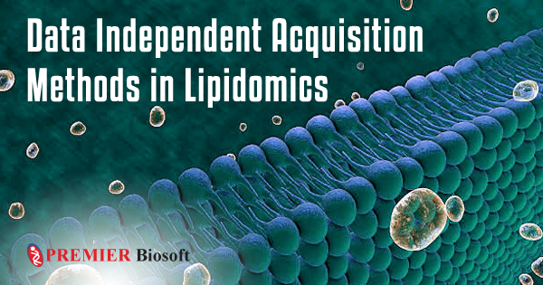 Data Independent Acquisition Methods in Lipidomics