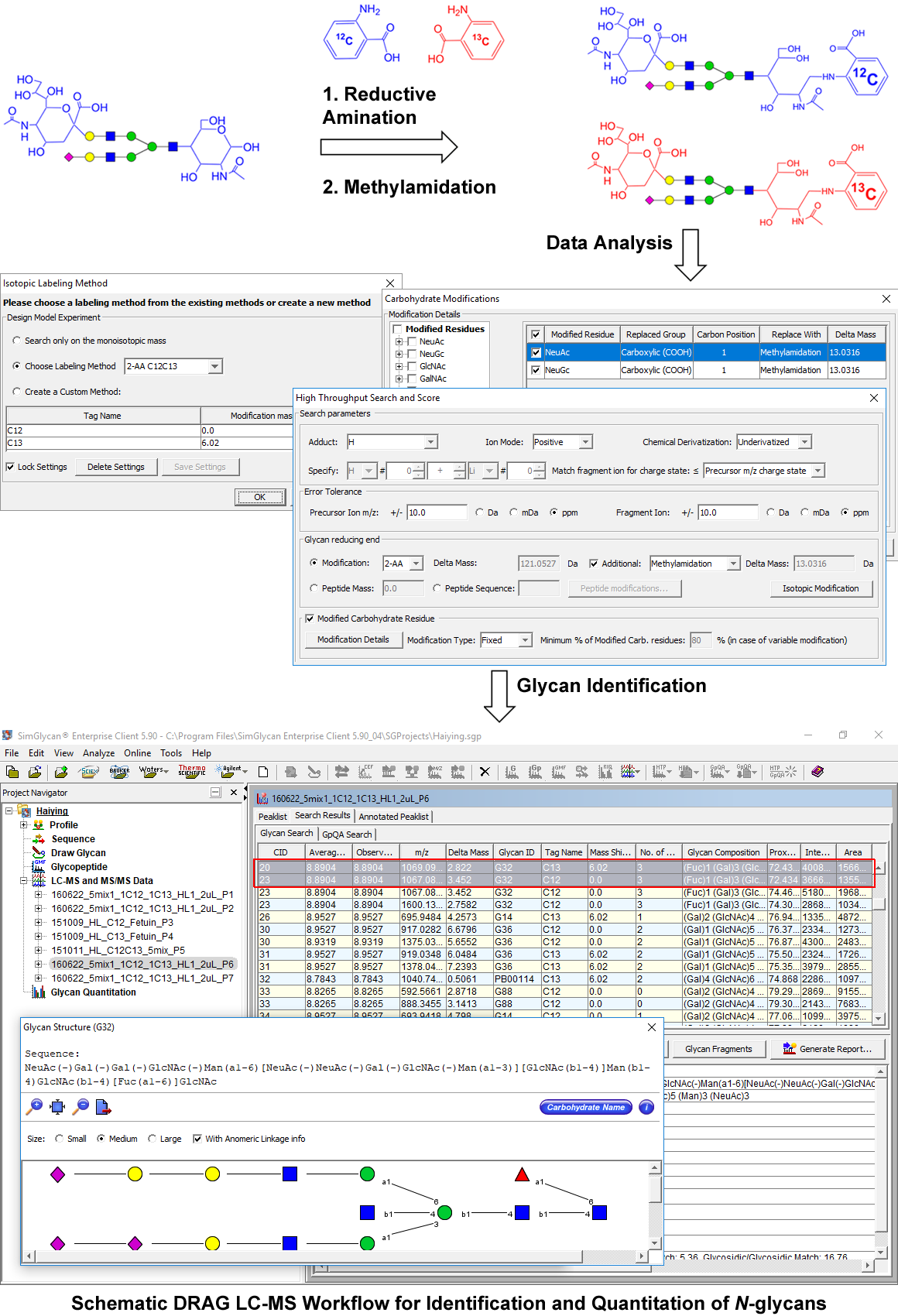 Schematic DRAG LC-MS workflow for identification and quantification of N-glycans