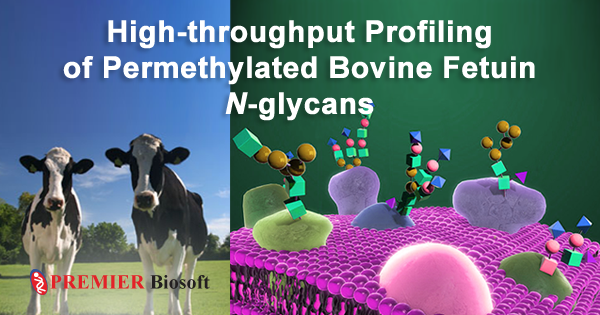 Analysis of Permethylated Sialylated N-glycans