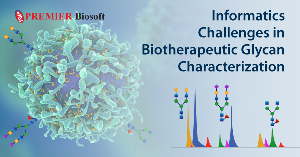 Biotherapeutic Glycan Characterization Software