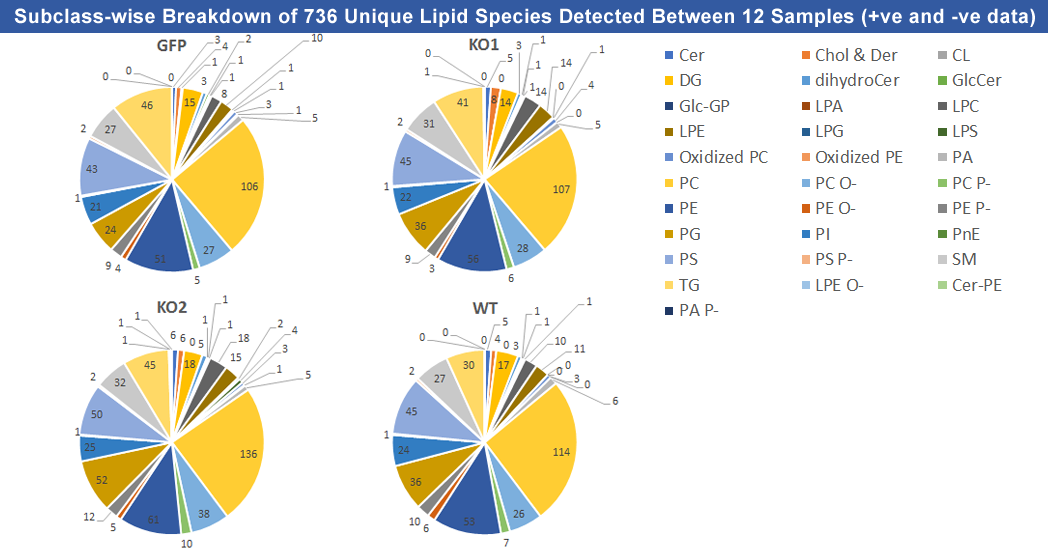 LC-MS based Lipidomics workflow for profiling of lipids