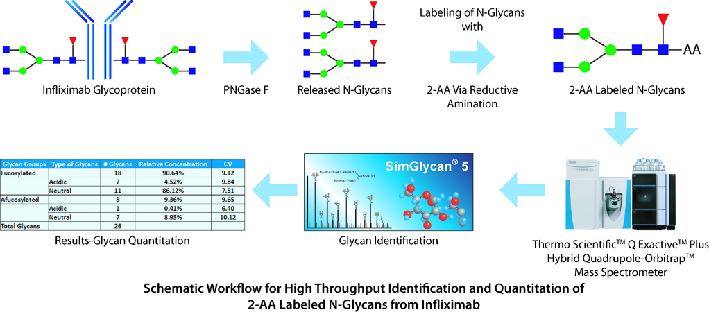 Schematic Workflow for high throughput identification and quantitation of 2-AA labelled glycans from Infliximab