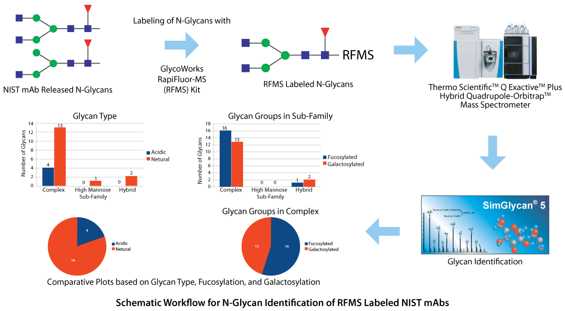 Schematic Workflow for N-Glycan Identification of RFMS Labeled NIST mAbs