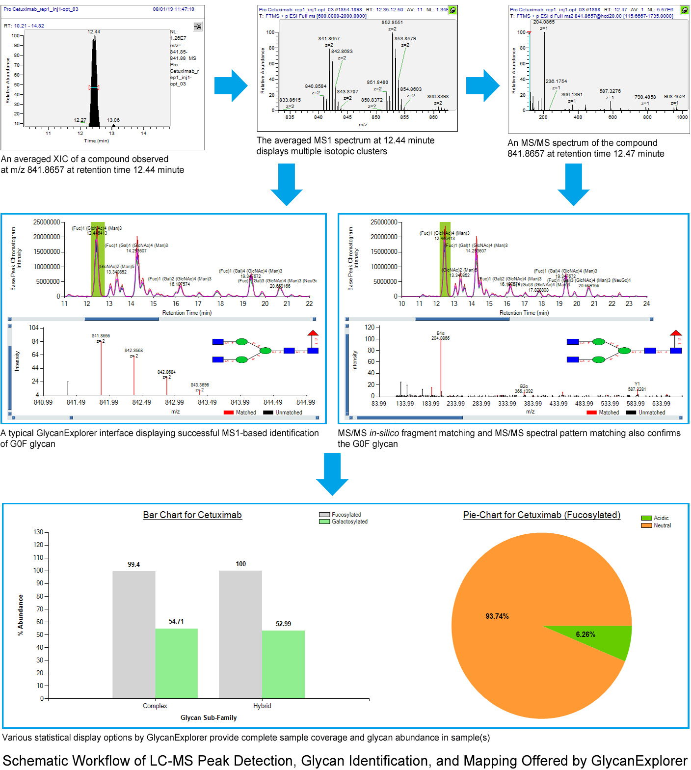 Workflow of LC-MS Peak Detection, Glycan Identification, and Mapping Offered by GlycanExplorer
